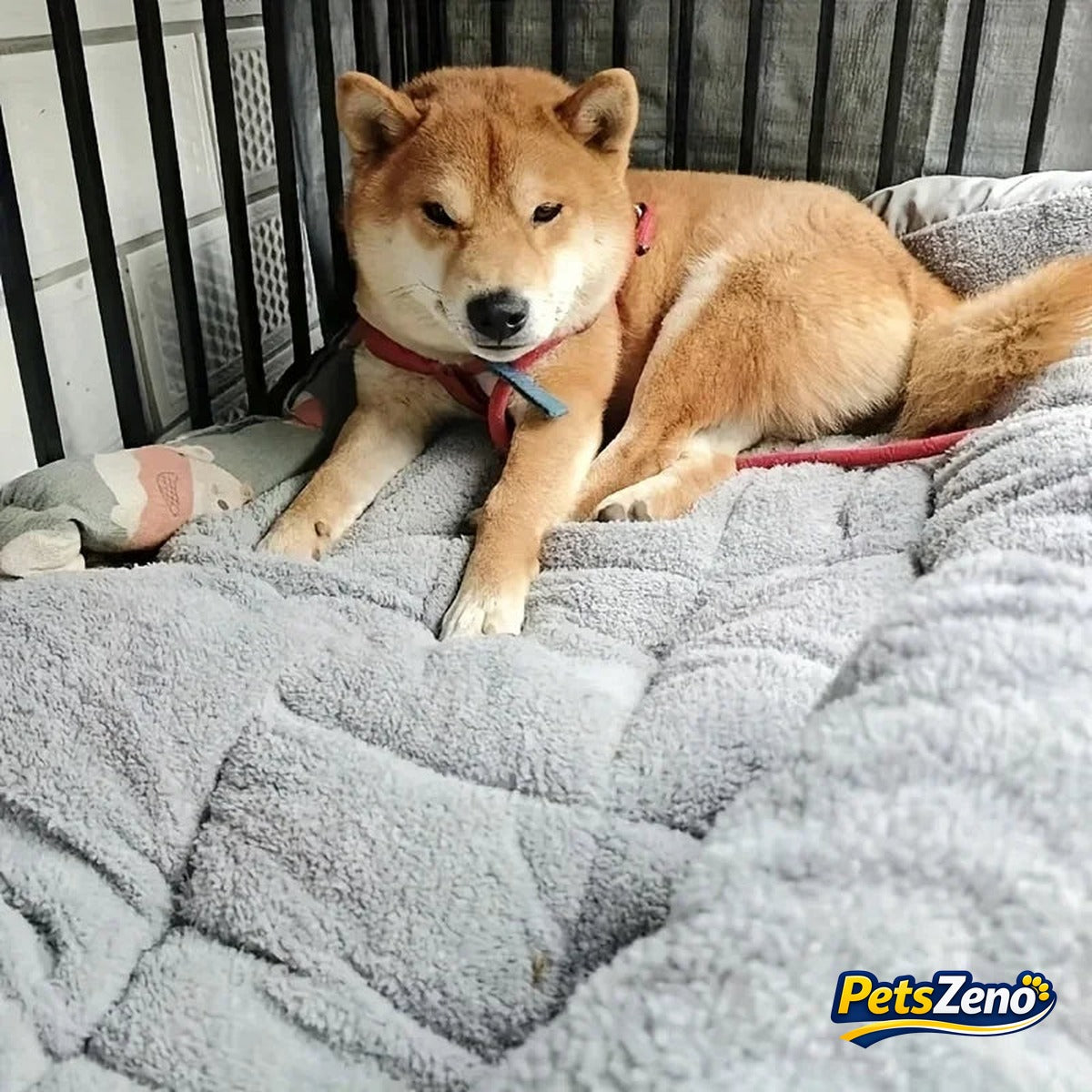 Calming plush dog bed mat – PetsZeno