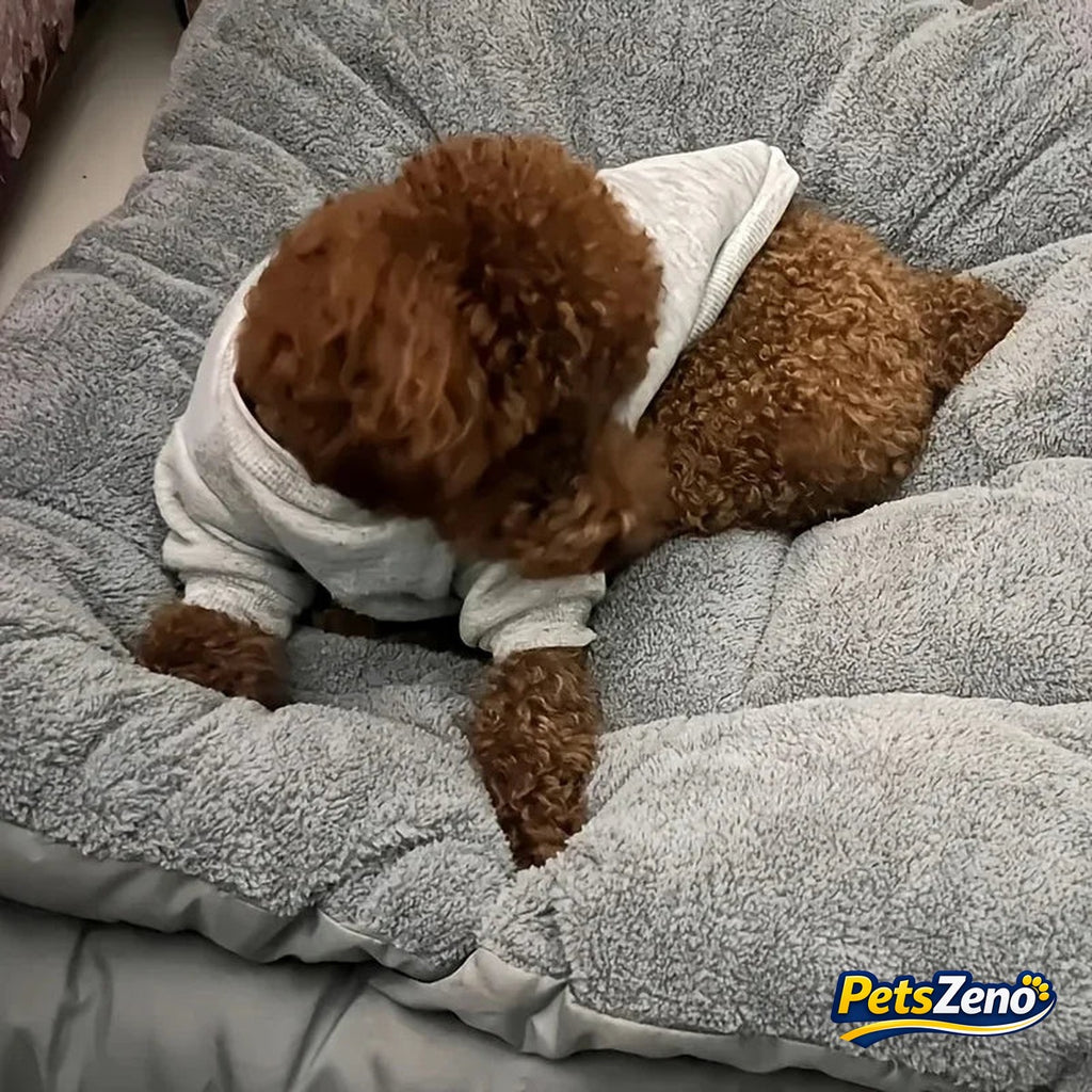 Calming plush dog bed mat – PetsZeno