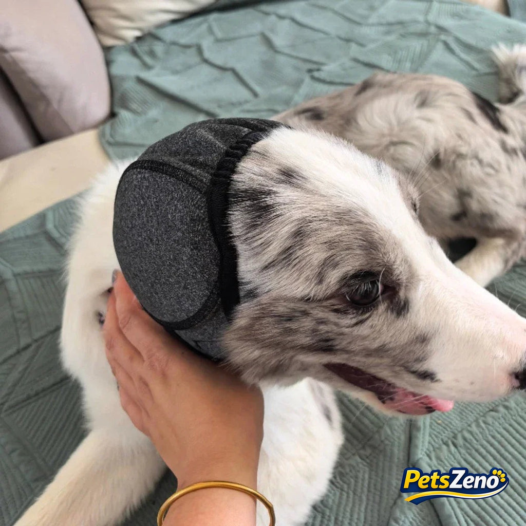 Calming dog ear muffs – PetsZeno