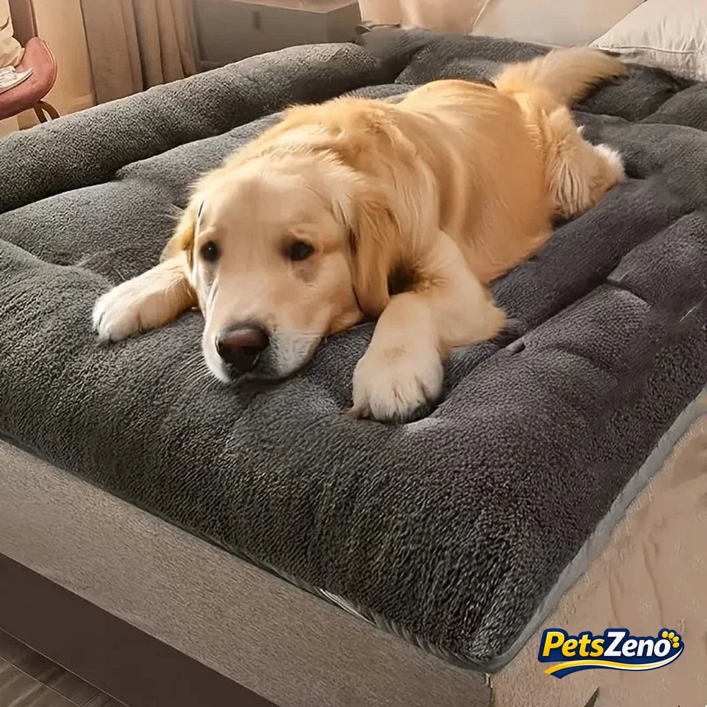 Calming plush dog bed mat – PetsZeno
