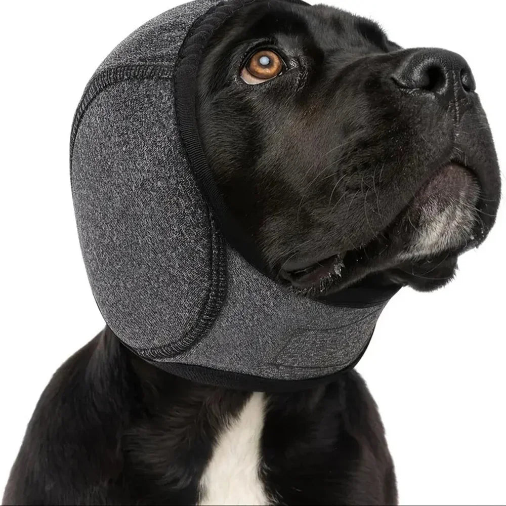 Calming dog ear muffs for noise reduction – PetsZeno