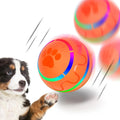 Automatic rolling dog ball with LED lights – PetsZeno