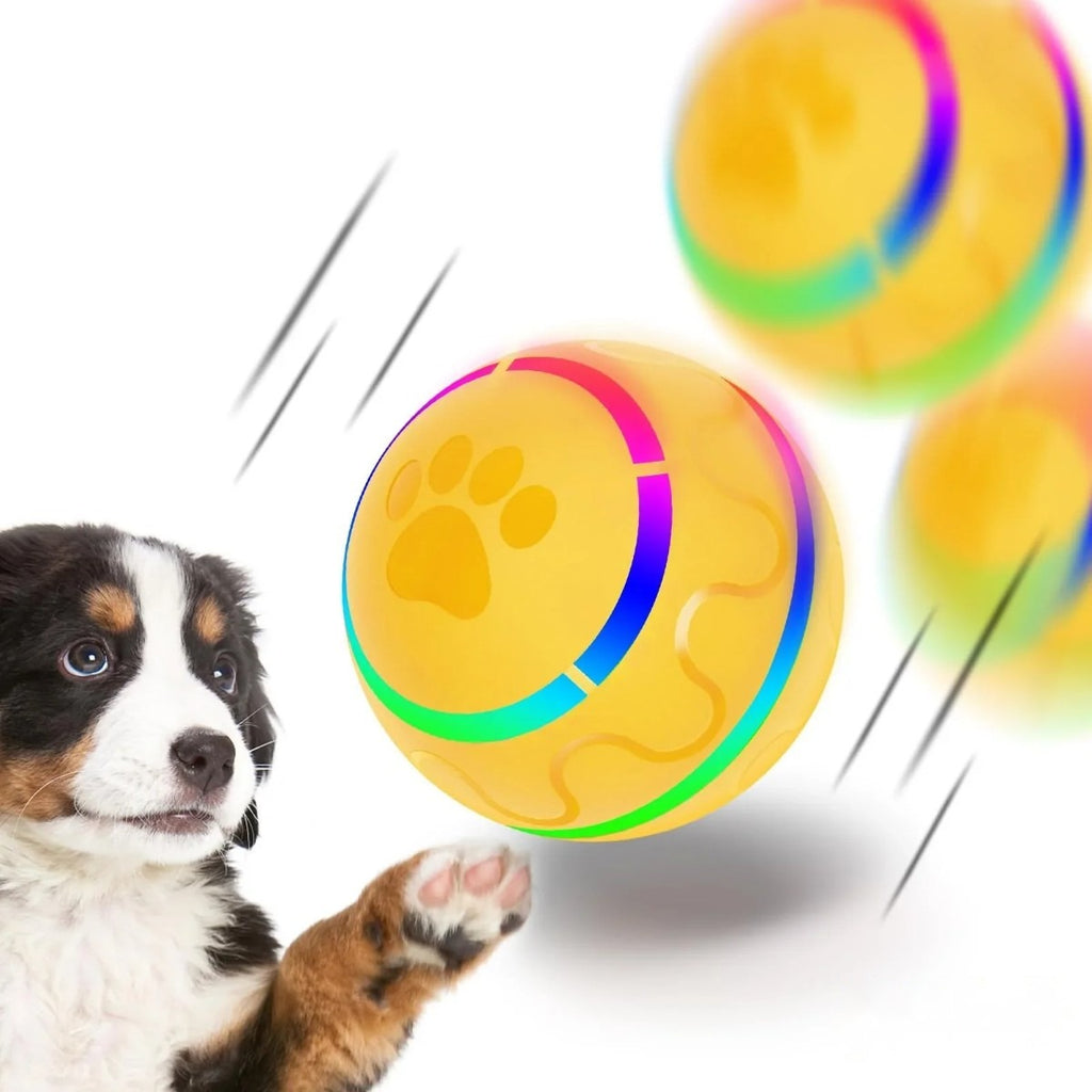 Automatic rolling dog ball with LED lights – PetsZeno