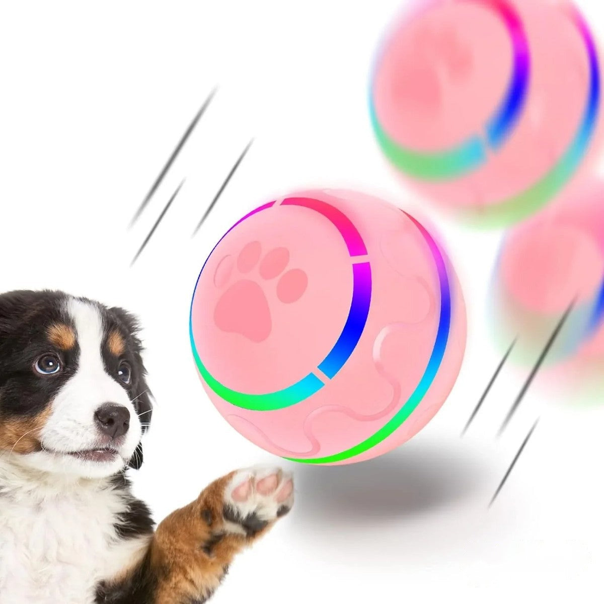 Automatic rolling dog ball with LED lights – PetsZeno