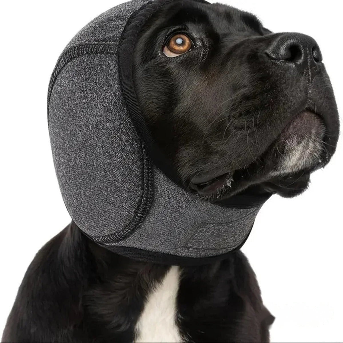Calming dog ear muffs – PetsZeno