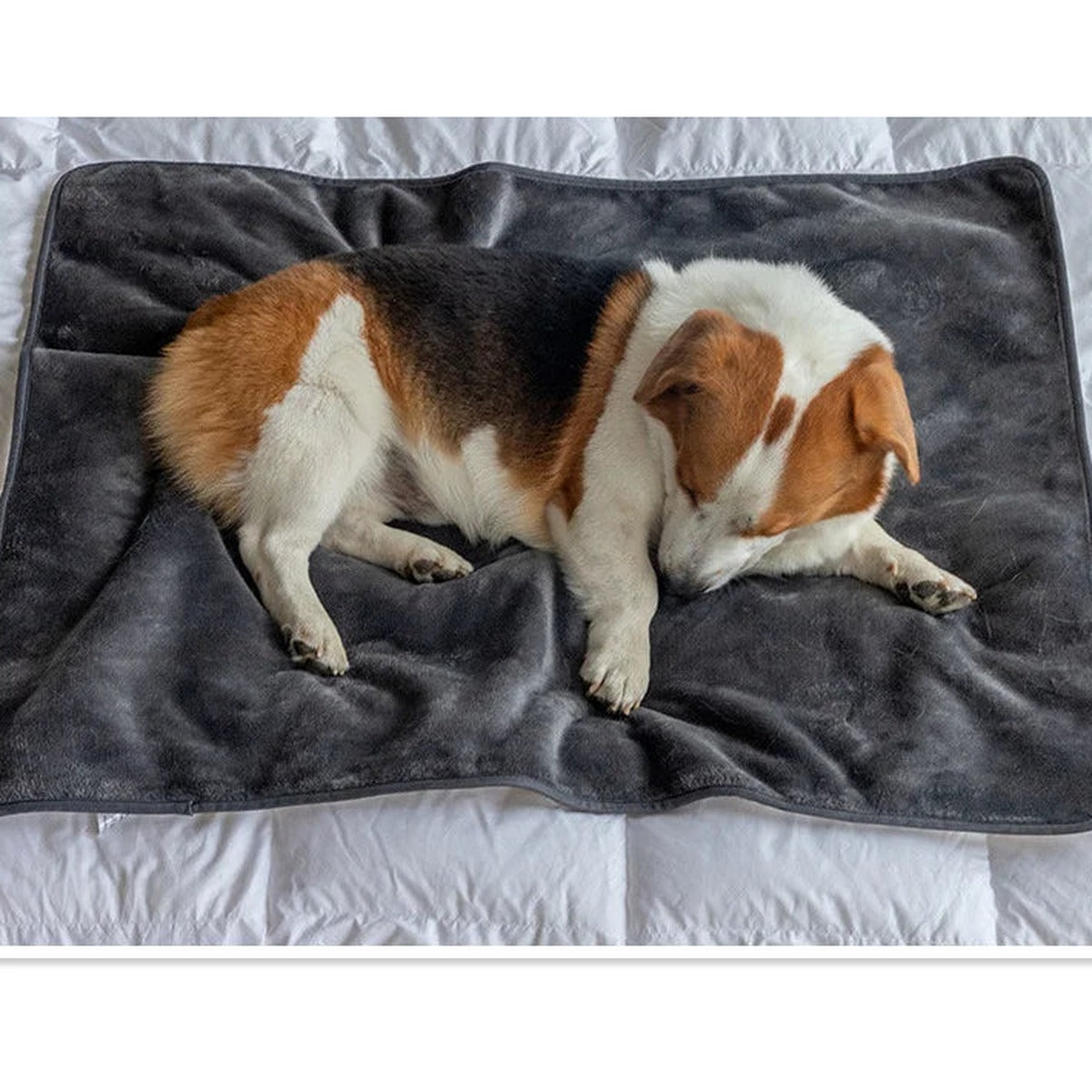 Dog sleeping on a calming sherpa dog blanket – PetsZeno