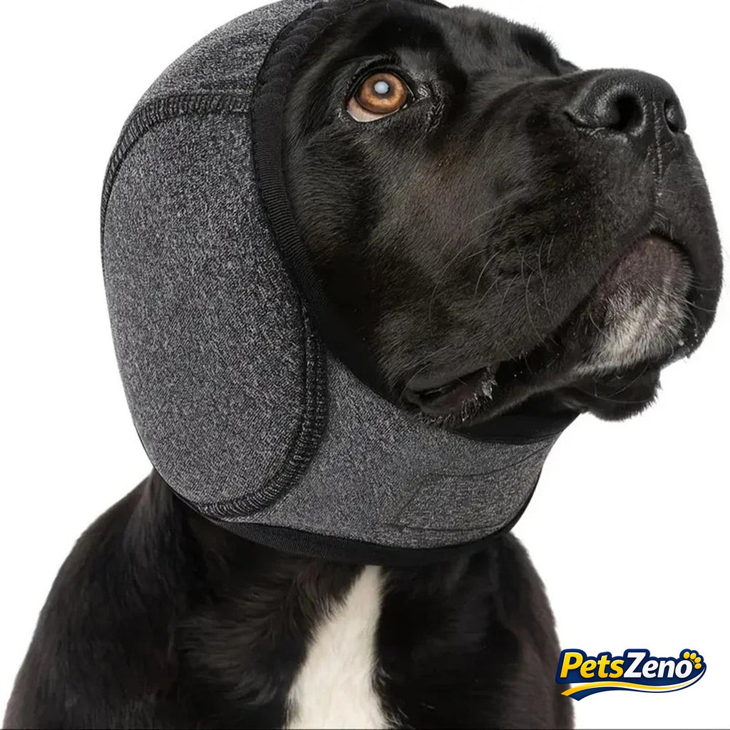 Calming dog ear muffs – PetsZeno