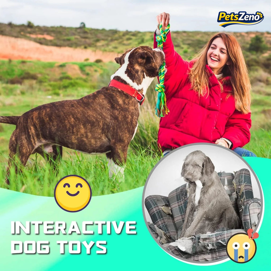 Interactive tug toy for dogs