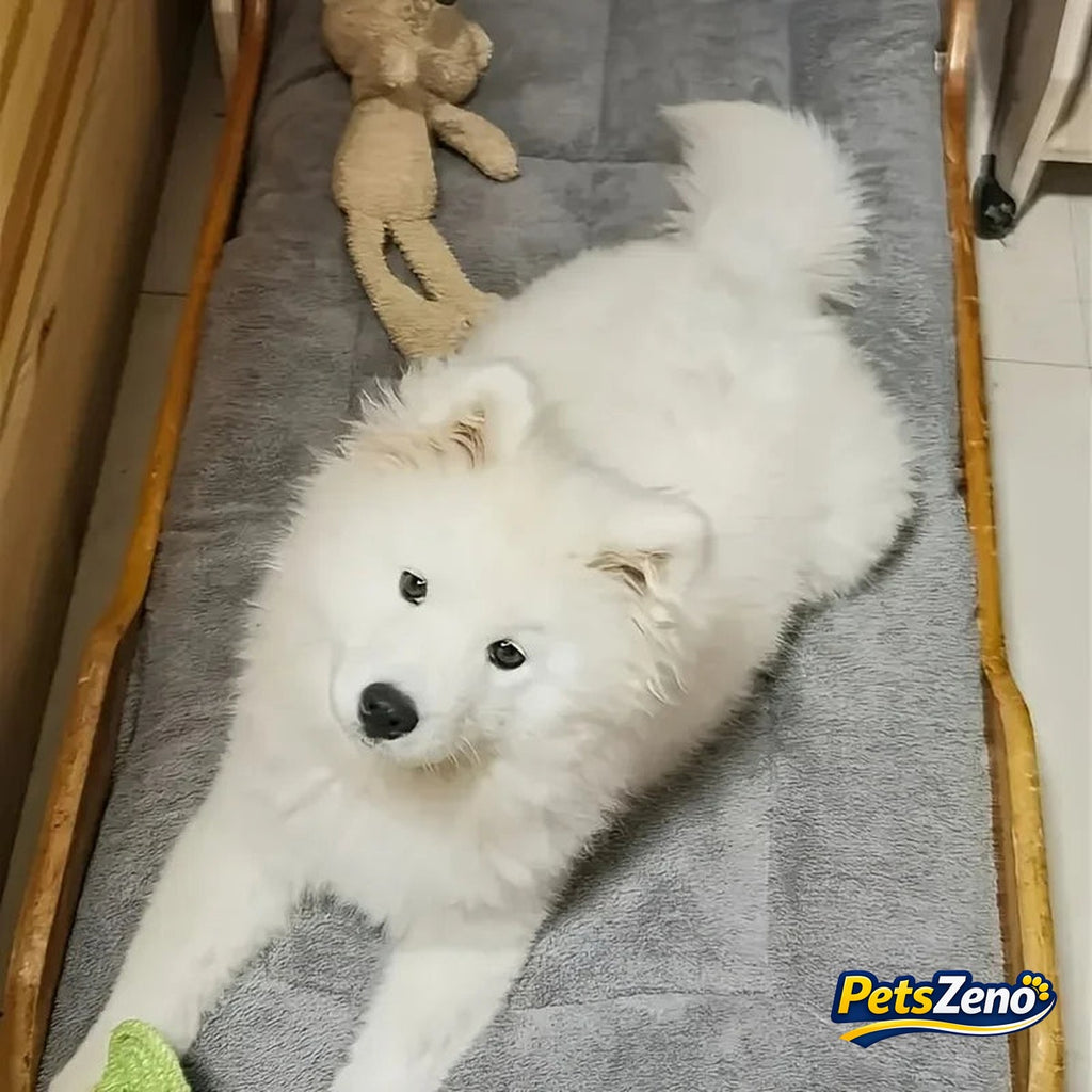Calming plush dog bed mat – PetsZeno